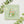 Load image into Gallery viewer, Nyanko Sensei Teapot Art Print