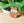 Load image into Gallery viewer, Lunar New Year Taro the Cat Enamel Pins