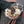 Load image into Gallery viewer, Jiu Jitsu Koi Charm