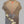 Load image into Gallery viewer, Jiu-Jitsu Rashguard / Brown