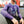 Load image into Gallery viewer, Jiu-Jitsu Rashguard / Purple