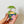 Load image into Gallery viewer, Lily Taro Enamel Pin with Crystal Drop
